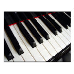Piano Keys Photograph Postcard