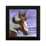 Picasso of Sand Wash Basin HMA Jewelry Boxes