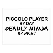 Piccolo Deadly Ninja by Night Postcard