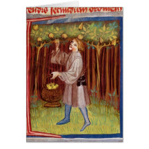 Picking fruit card