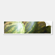 Picnic time bumper stickers