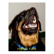 Picture 102, rotty's rule postcard