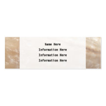 Picture of a shell. business card templates