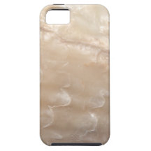 Picture of a shell. iPhone 5 cases