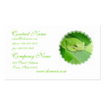 Picture of a Tree Frog Business Card business cards