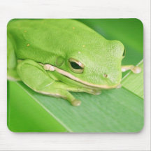 Picture of a Tree Frog Mouse Pad