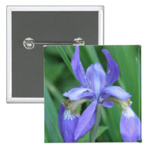 Picture of Iris Square Pin