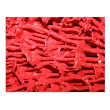 Picture of Red Organ Pipe Coral. Postcards