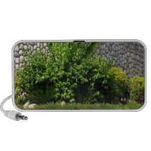 Picture Perfect Green : EverGreen AWGP Temple Wall Travelling Speakers