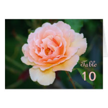Picture Perfect Rose Wedding Table Card