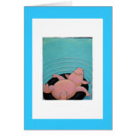 pig cards