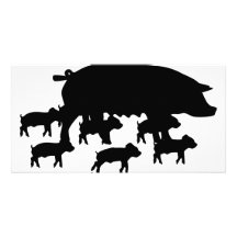 pig mum with young pigs icon picture card