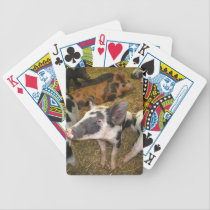 Pig Playing Cards playing cards