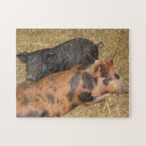 Pig Puzzle puzzles