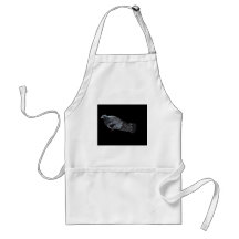 Pigeon sketch aprons