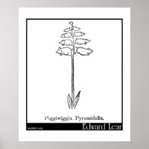 Piggiwiggia Pyramidalis. Print