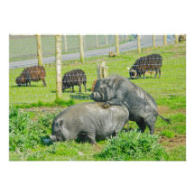 Piggy Back Ride Custom Invitations
