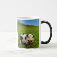 Piglet Coffee Mugs