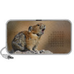 pika singing mp3 speakers