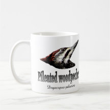 Pileated Woodpecker Coffee Mugs