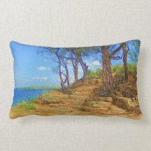 Pillow with colour  Image