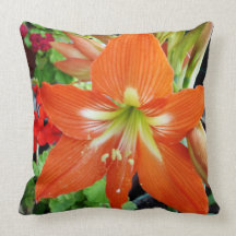 Pillow with red colour amaryllis flower.