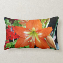 Pillow with red colour amaryllis flower.
