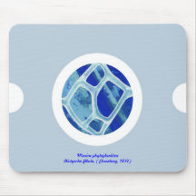 Pin&Pon Popcir Mouse Pads
