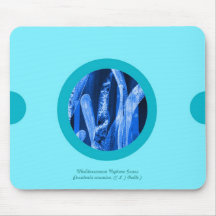 Pin&Pon Poplit Mousepads