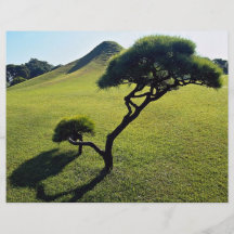 Pine and manmade hillock, Suizenji Park, Kumamoto, Flyer