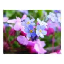 Pink And Blue Spring Flowers Postcards