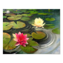 Pink and Cream Lilies Photo Print