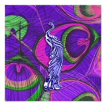Pink and Purple Peacock Photographic Print