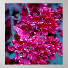 Pink and Red Flower Poster (1)