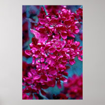 Pink and Red Flower Poster (2)