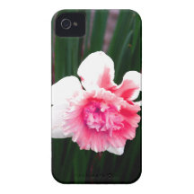 Pink and White Double Daffodil iPhone 4 Case