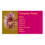 Pink and White Stripey Gerbera Flower Business Cards