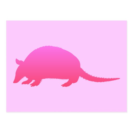 Pink Armadillo Postcard