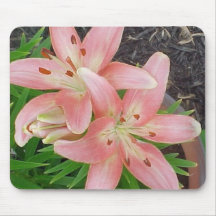 Pink Asiatic Lilies Mouse Mats