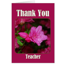 Pink Azalea Teacher Thank You With Text Greeting Cards