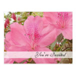 Pink Azaleas Invitation Postcard