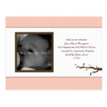 Pink Bird Baby Announcement Postcard