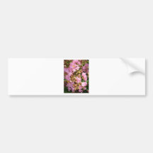 pink blossom bumper sticker