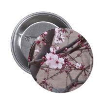 Pink Blossoms