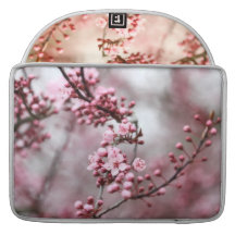 Pink Blossoms in Spring Photo MacBook Pro Sleeves