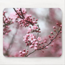 Pink Blossoms in Spring Photo Mousemat