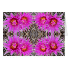 Pink Cactus Flower Card