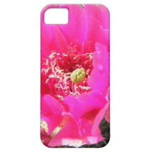 Pink Cactus Flower iPhone 5 Covers