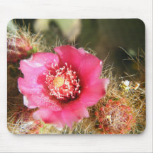 pink cactus flower mouse mats
