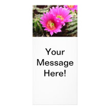 Pink cactus flower rack cards template